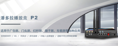 异步播放盒 凯视达 P2